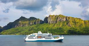 Attēlu rezultāti vaicājumam “Aranei exuvia”