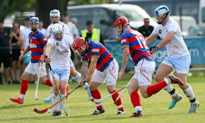 Image result for World of Shinty
