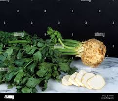 Image result for Sellerie