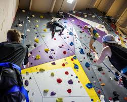 Image result for High Sports Climbing Wall