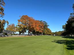 Image result for Whitehall Golf Club