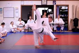 Image result for West Jordan Martial Arts Dojo