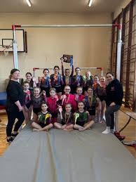 Image result for Farnham Gymnastics Club