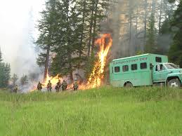 Image result for Hotshots