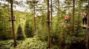 Image result for Go Ape! Dalby