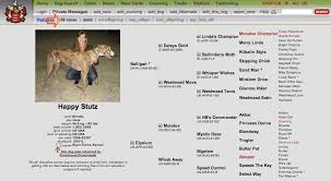 Image result for Reading Greyhound Track
