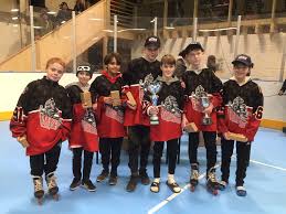 Image result for Borehamwood Crusaders