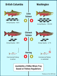 Image result for Oncorhynchus