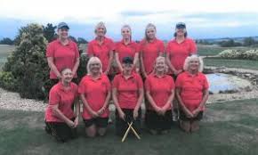 Image result for Cambridge Area Mixed League rounders