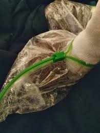 Image result for Epsom Z-Tri