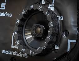 Image result for speaker ring