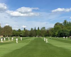 Image result for Christchurch Cricket Club