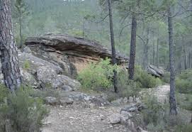 Image result for "Selva Pascuala"