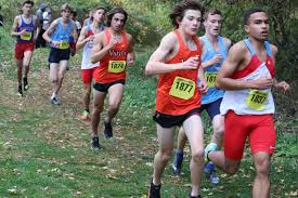 Image result for Windle Valley Runners