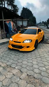 Image result for tuscani tibu...start=0