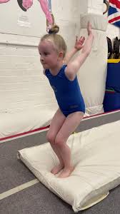 Image result for Brumby Gymnastics Club