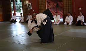 Image result for Southport Muto Aikido Club