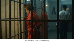 Image result for prisoner