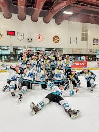Image result for Ash Avalanche Skater Hockey Club