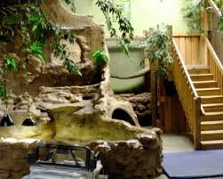 Attēlu rezultāti vaicājumam “Reptilia”