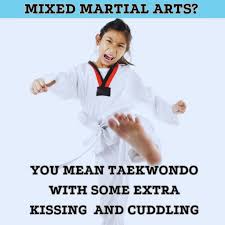 Image result for Synergy Tae Kwon Do