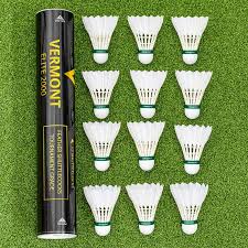 Image result for Feathers (New Milton) Badminton Club