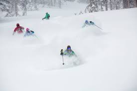 Image result for Arbroath Ski Club