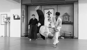 Image result for A BRITISH JUJITSU RYU in Lancing