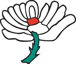 Image result for York Ladies Cricket Club