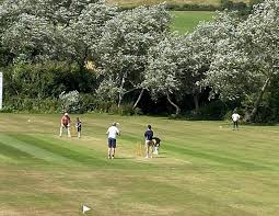 Image result for Swanage Cricket Club
