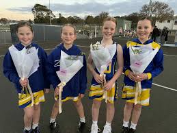 Image result for Zodiac Netball Club