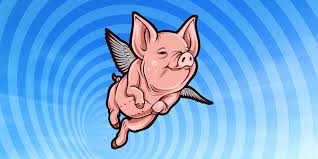 Image result for flying pigs