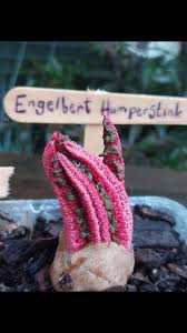 Attēlu rezultāti vaicājumam “Sarcoscypha austriaca var. lutea”