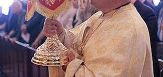 Attēlu rezultāti vaicājumam “Epirhoe tristata”