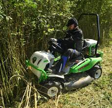 Image result for etesia tehron