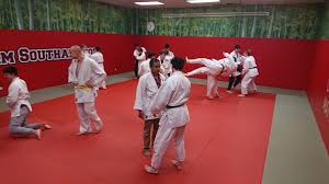 Image result for Southampton University Judo