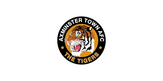Image result for Axminster Town Cricket Club