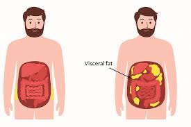 Image result for fat