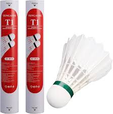 Image result for Thame Shuttles Badminton Club