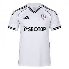 Image result for Fulham Football Club