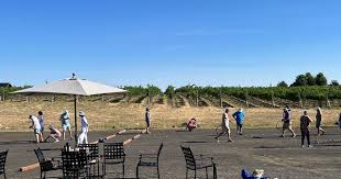 Image result for Petanque Wallingford