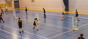 Image result for Tara Sports Badminton Club
