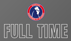 Image result for Dorking Wanderers F C