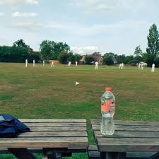 Image result for Bredgar Cricket Club