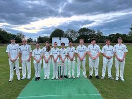 Image result for Hampole & Skelbrooke Cricket Club