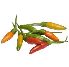 Afbeeldingsresultaat voor thai bird pepper hot pepper