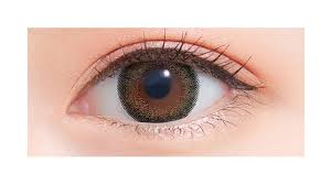 「ネオサイトワンデーシエル」の画像検索結果