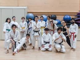 Image result for York University Karate Club