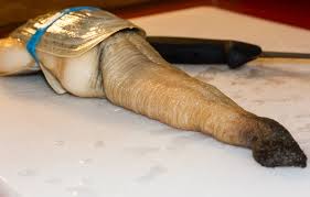 Image result for geoduck