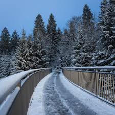 Image result for schnee